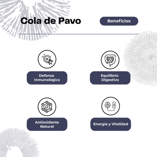 Cola de Pavo extracto 30 ML - Imagen 3