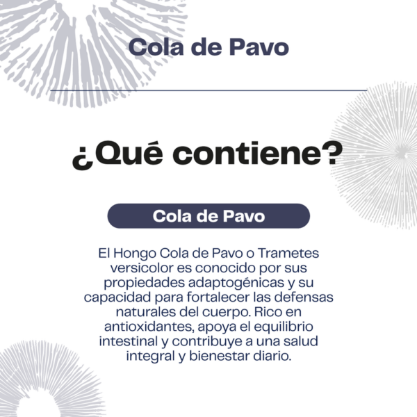 Cola de Pavo extracto 30 ML - Imagen 4