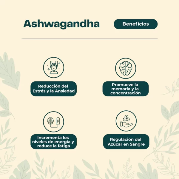 Extracto Ashwagandha 30 ML - Imagen 4