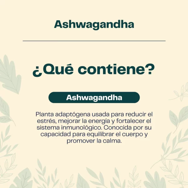 Extracto Ashwagandha 30 ML - Imagen 3